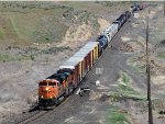BNSF 8431